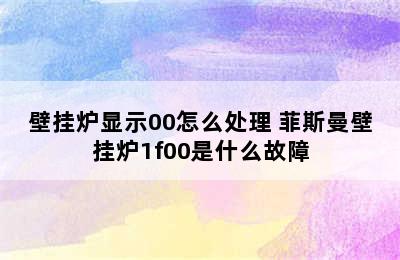 壁挂炉显示00怎么处理 菲斯曼壁挂炉1f00是什么故障